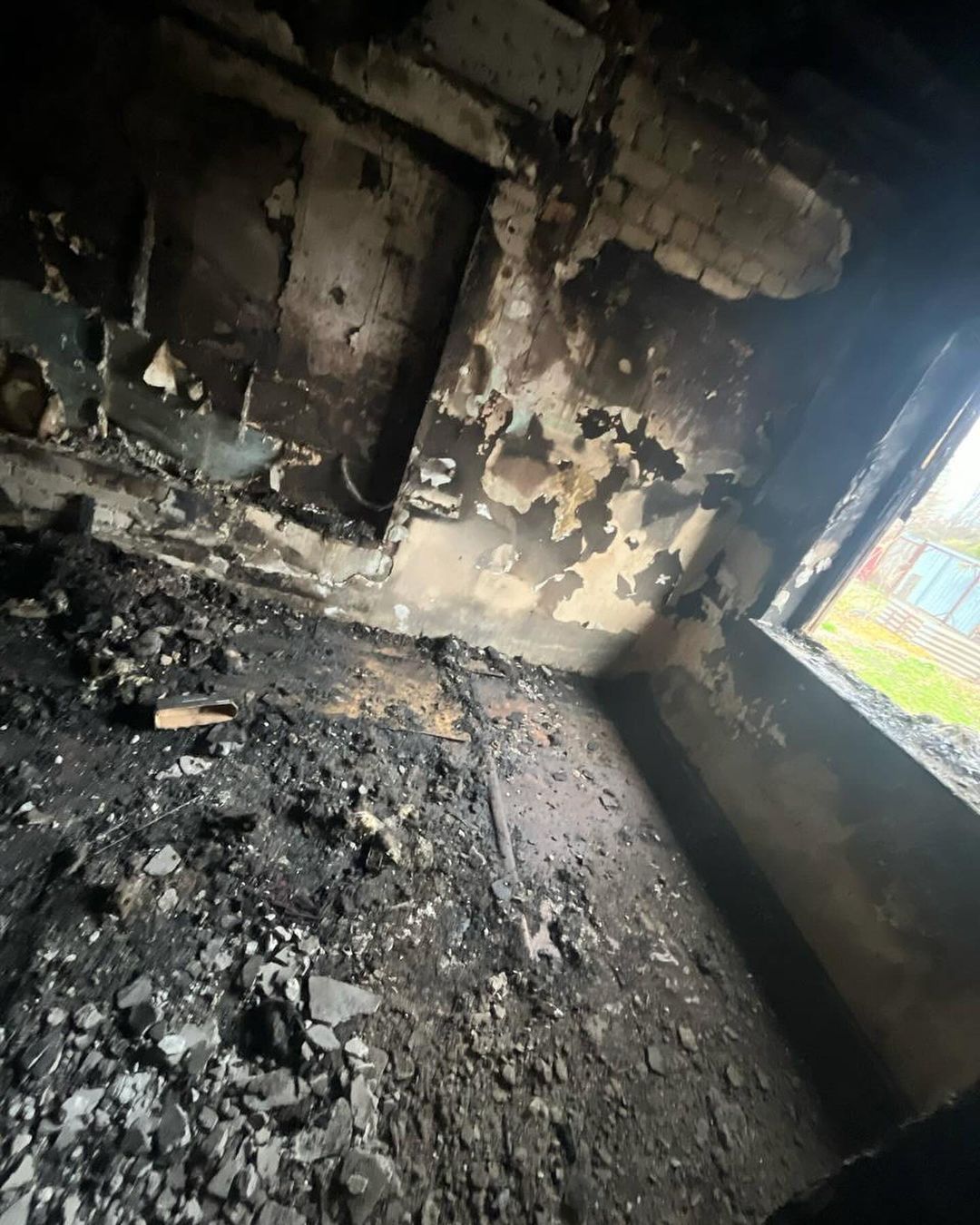 У кінному клубі Запоріжжя сталася пожежа, загинули тварини