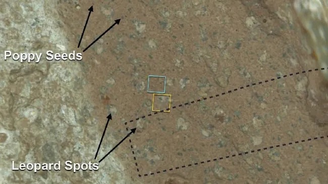 На Марсі NASA знайшла можливі сліди стародавнього життя