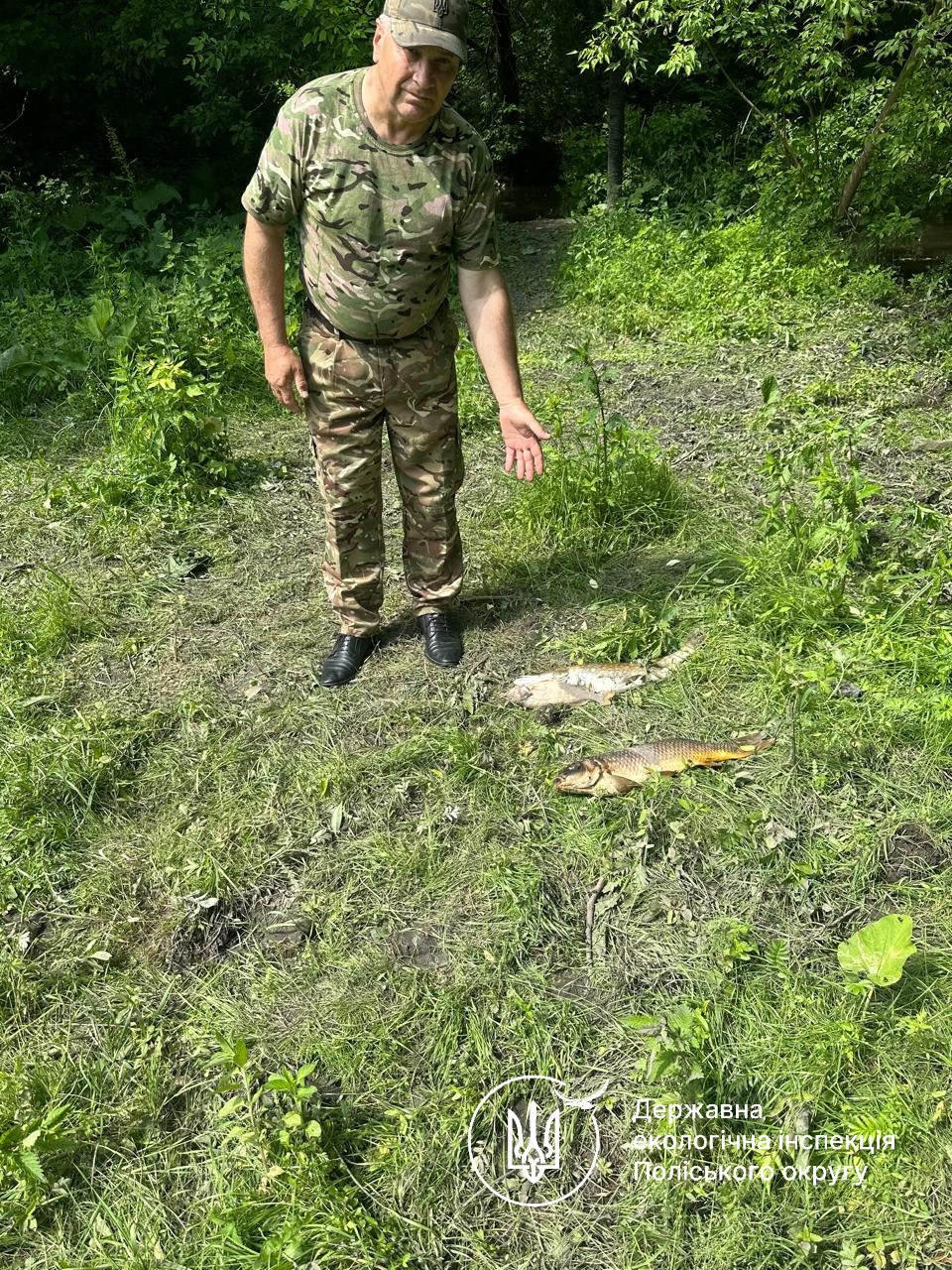 На Житомирщині у річці Случ загинули 28 тонн риби