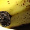 Банкротство бананового гиганта