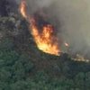 В Португалии горят леса
