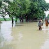 Вьетнам: наводнение унесло жизни 302 человек