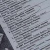 PR-проделки. Виктора Павлика "случайно" сделали лидером партии