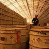 Пакистанские ученые: у бен Ладена может быть атомная бомба