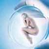 Германия: эксперименты с эмбриональными клетками одобрены
