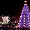 Джордж Буш зажег главную рождественскую елку США