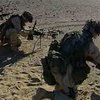 О борьбе с терроризмом и ее результатах
