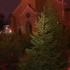 Мэр Таллина объявил об установлении "Рождественского мира"
