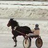 2002 - год Вороного Коня