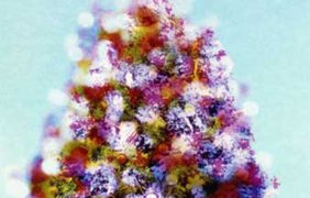 Новогодняя ночь в Киеве прошла без эксцессов