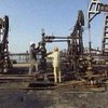 Цена на нефть вновь начала расти