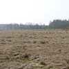 Плата за арендованную землю не может быть ниже 1,5% ее стоимости