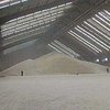 Украина экспортирует около 7 миллионов тонн зерна в нынешнем сезоне