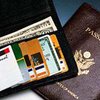 Электронный паспорт вшили под кожу