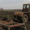 Президент поручил устранить противоречия по НДС для аграриев