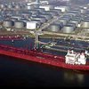 "Известия": Исламский мир угрожает Западу нефтяным бойкотом