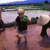 По данным ООН, население КНДР находится на грани голода