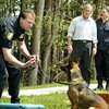 Буш учится на... секретного агента