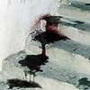 Начальника милиции Луцка убили из-за его профессиональной деятельности
