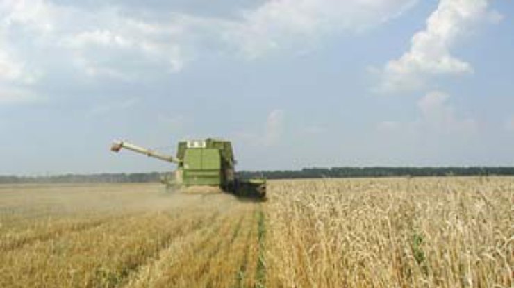 Украина сохранит в 2002 году объемы экспорта зерна 2001 года