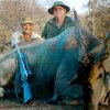 Охота ежегодно приносит ЮАР около 100 миллионов долларов