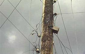 Ураган пронесся над Житомирской областью