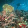 Глубоководная экспедиция изучит акваторию Яванского моря