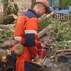 В Днепродзержинске поваленные бурей деревья упали на дом