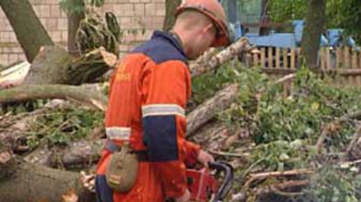 В Днепродзержинске поваленные бурей деревья упали на дом