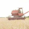 Запорожская область собрала 1,86 миллиона тонн зерна