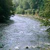 Закарпатью не угрожают ядовитые вещества в реке Тиса