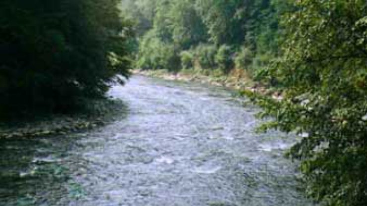 Закарпатью не угрожают ядовитые вещества в реке Тиса