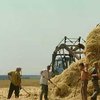 Украина может экспортировать около 500 тысяч тонн фуражного зерна в Южную Корею
