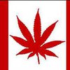 Сенат Канады собирается легализовать марихуану