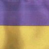 Президент внес в ВР для рассмотрения законопроекты о гербе и гимне