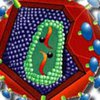 "СПИДа нет: люди умирают совсем по другим причинам"