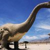 В Брюсселе открывается выставка "Раскопки динозавров"