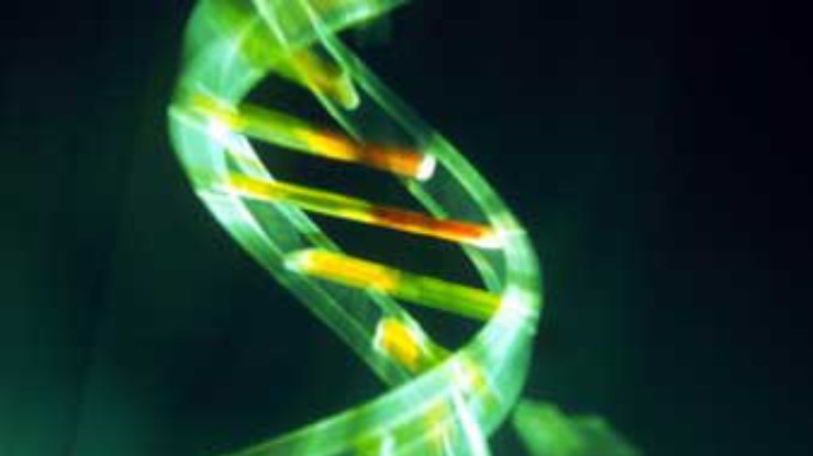 Спираль ДНК станет прообразом для создания чипов