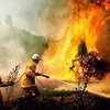 В австралийском штате тысячи жителей остаются без электричества из-за сильных лесных пожаров