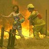 Лесные пожары в Австралии приближаются к Сиднею