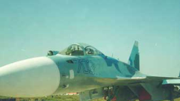 В Подомосковье упал Су-35