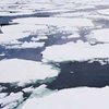 Льды Арктики растают через 80 лет