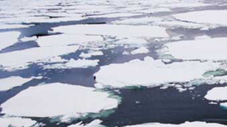 Льды Арктики растают через 80 лет