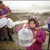 "Чума или холера" - Кремль дает Вам выбор, господа чеченские беженцы