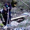 В Мексике автобус рухнул в ущелье, погибли 18 человек