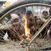 Индия: число жертв холодов превысило 200 человек