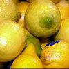Семья из Днепропетровской области вырастила чудо-лимон