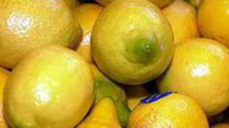 Семья из Днепропетровской области вырастила чудо-лимон