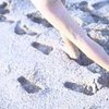 Вся Франция занимается поисками 9-летней Эстель