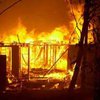 В Австралии лесные пожары достигли столицы страны Канберры